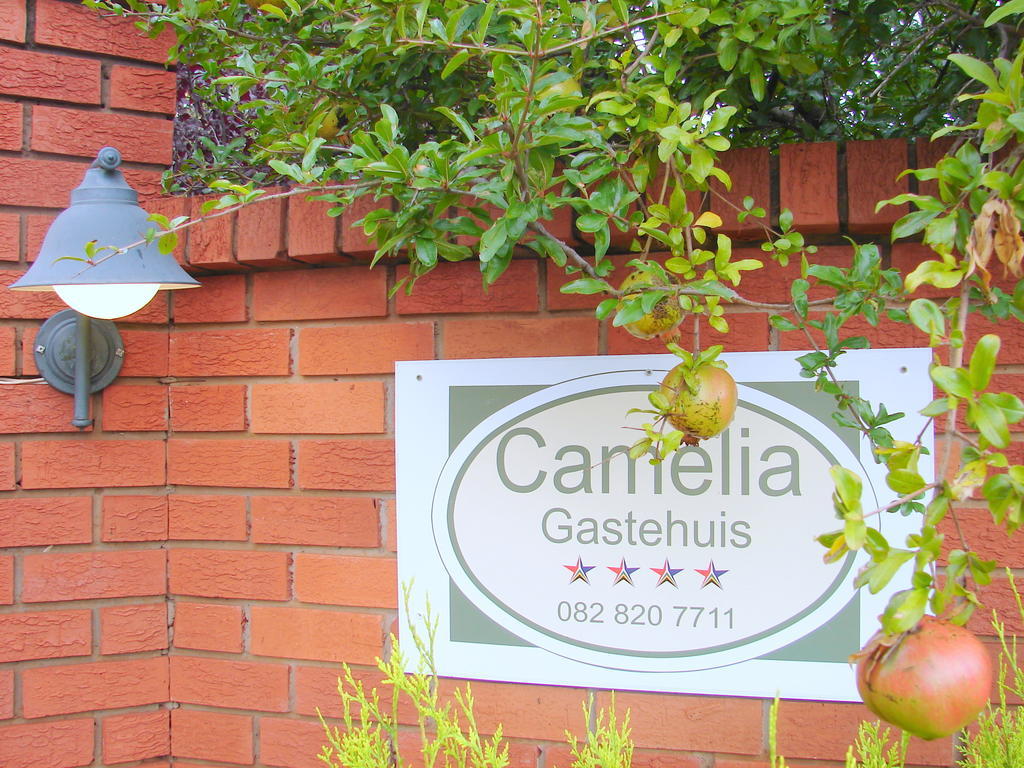 בלומפונטייין Camelia Guest House מראה חיצוני תמונה