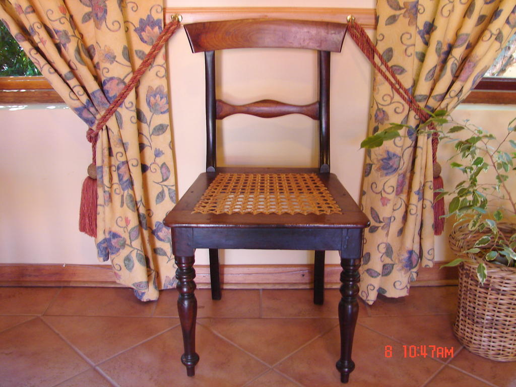 בלומפונטייין Camelia Guest House מראה חיצוני תמונה